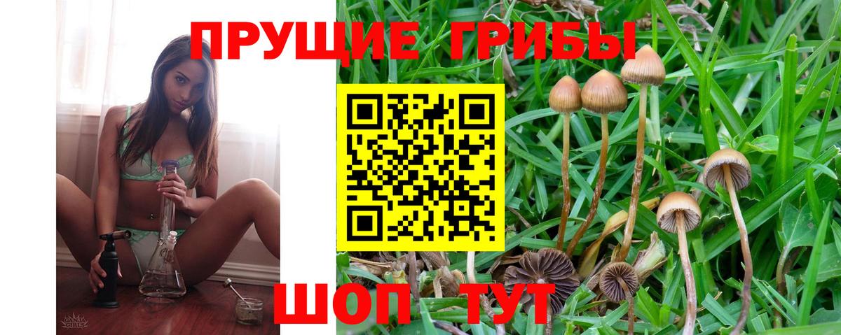 Псилоцибиновые грибы Psilocybe  Галлюциногенные грибы Magic Shrooms  Краснодар  Вход с VPN 